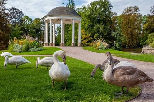 Machen Sie ein Picknick in der Orangerie