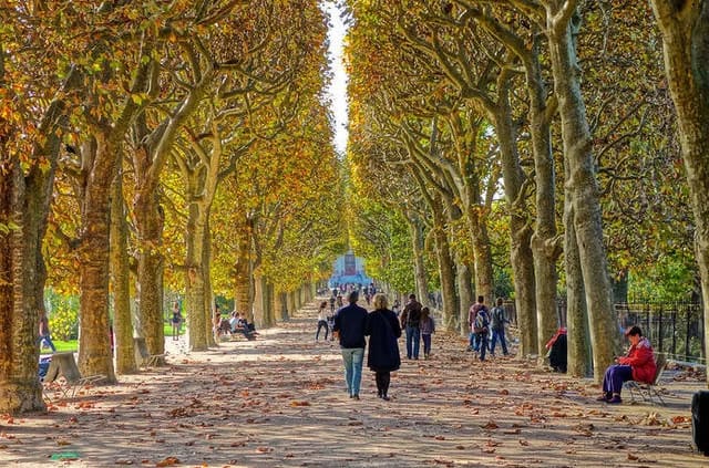 Falcon® Photography / Flickr / CC-BY-SA 3.0 Botanischer Garten