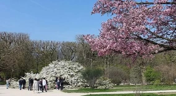 Tropen im Pariser Zentrum 