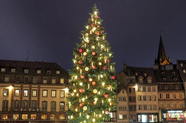Bewundern Sie den Hauptweihnachtsbaum 