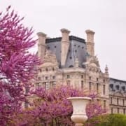 paris-4174764_1920 Le jardin des Tuileries