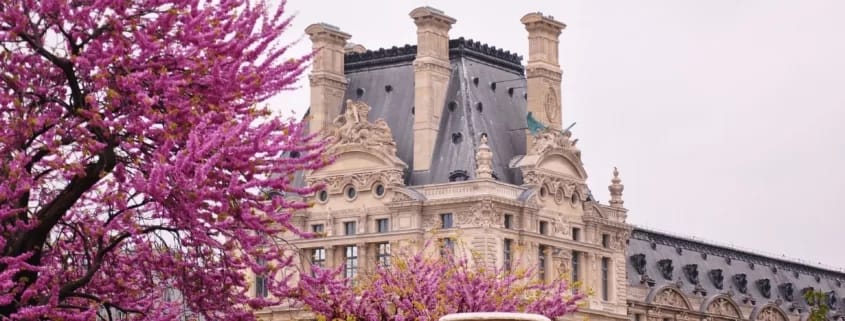 Le jardin des Tuileries