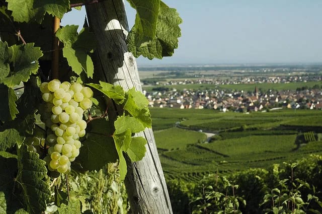 Foto: Nigab Pressbilder / flickr Turckheim