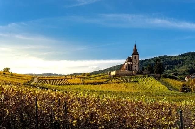 Foto: Dirk Scheuble / Unsplash Riquewihr