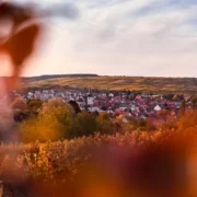 julien-verneaut-woZCb0dmToM-unsplash Rosheim