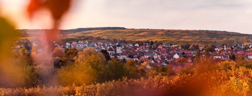 Rosheim