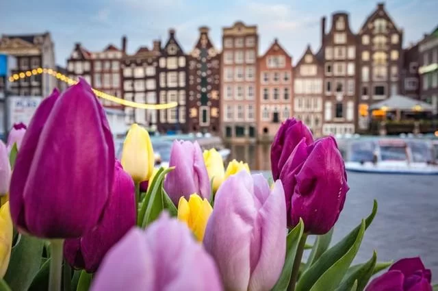 Foto: Catalina Fedorova / unsplash Zentrum