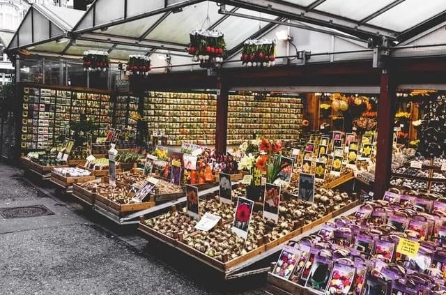 Foto: antonio molinari / Unsplash Der Singel