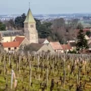 16179670057_de7121168e_k Burgund