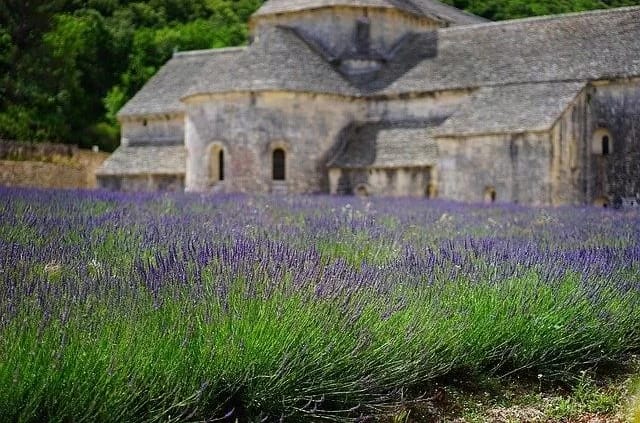 Foto: Hans Braxmeier / Pixabay Abtei Notre-Dame de Senanque