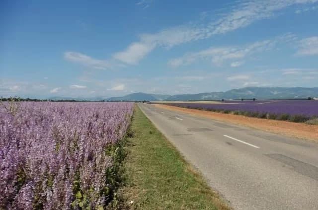 Foto: Victoria Munier / Unsplash Valensole