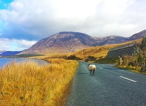 MIT DEM AUTO DURCH IRLAND REISEN. REISEROUTE