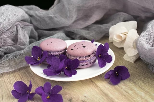 9 IDEEN FÜR EINEN GELUNGENEN URLAUB IN TOULOUSE