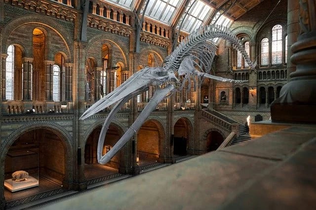30 wichtige Touristenattraktionen in London