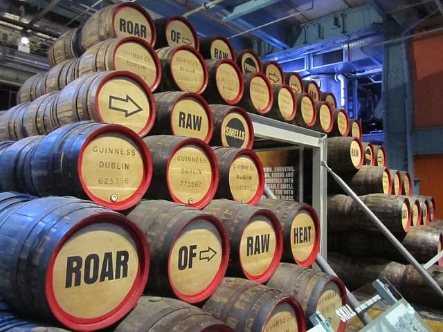 Ein Tag in Dublin, Reiseverlauf