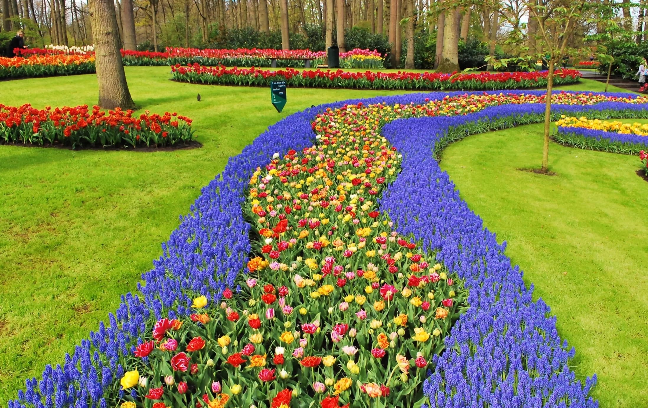 Wie kommt man von Amsterdam zum Keukenhof-Park?