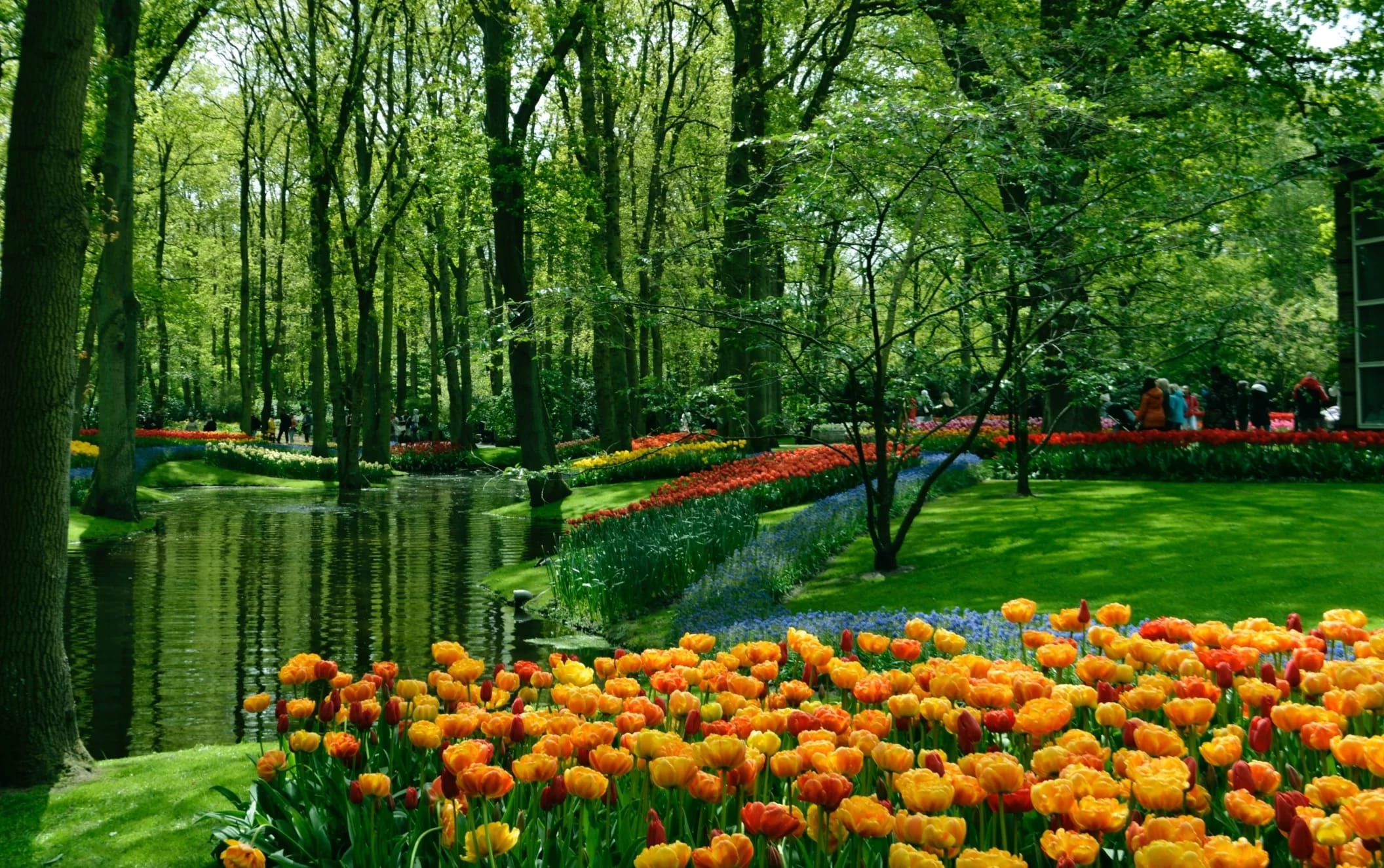 Wie kommt man von Amsterdam zum Keukenhof-Park?