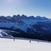 Ski Alpen