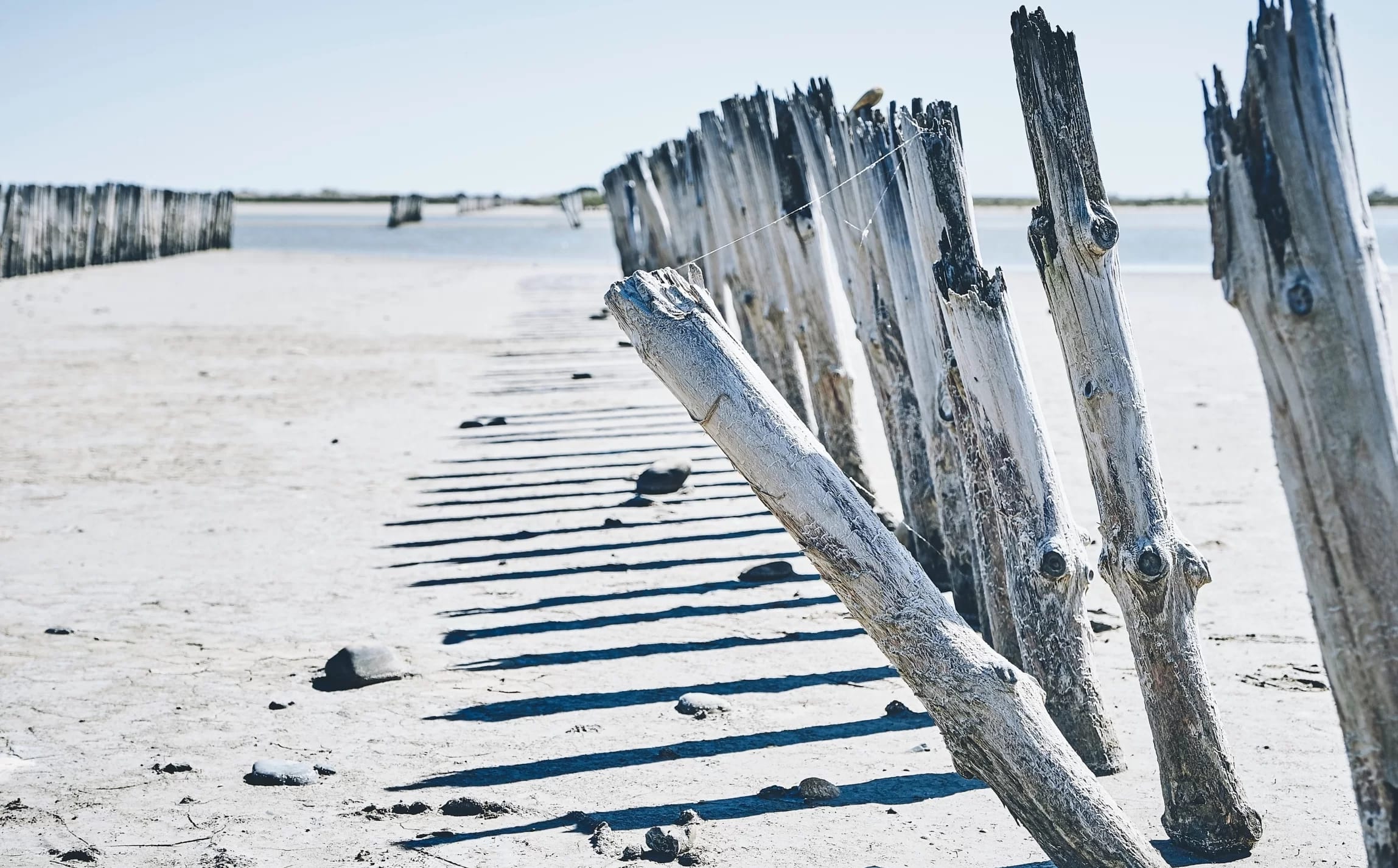 Camargue - ein Nationalpark in Frankreich