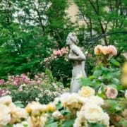Jardin des Plantes Paris