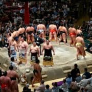 Wrestlers on Sumo ring