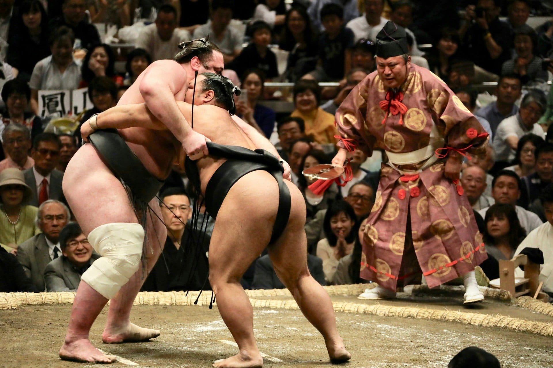 Sumo in Japan: Wie man ein Turnier sieht