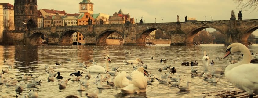 Karlsbrücke in Prag Karlsbrücke in Prag