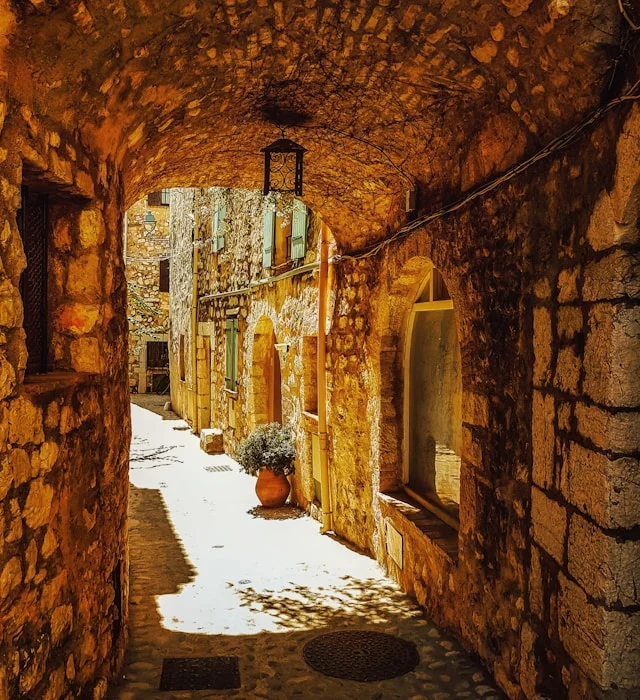 Die Stiftskirche (L'église Collégiale)