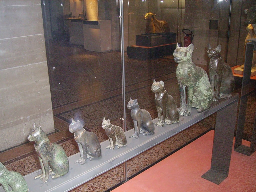 Katzen-Sarkophag Katzen-Sarkophag