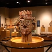 Anthropologisches Museum Anthropologisches Museum