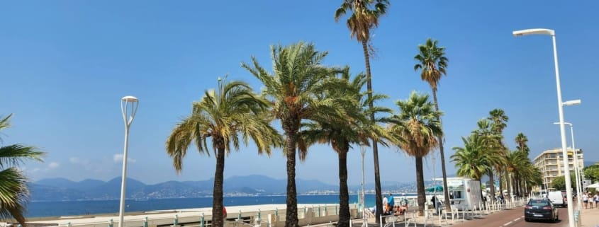 Cannes oder Nizza?