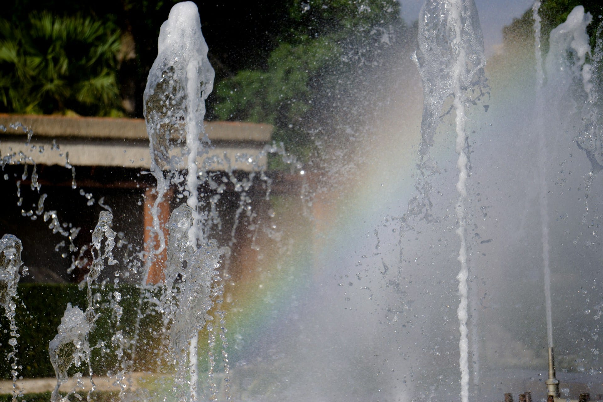 Turia-Gärten (Jardín del Turia)