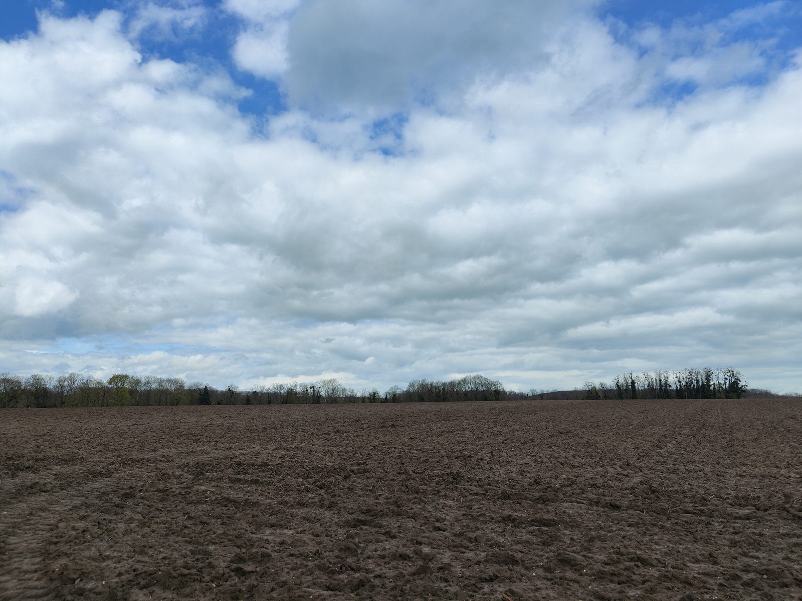 Das Feld auf der Hochebene über Auvers-sur-Oise