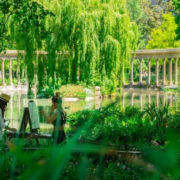 Grüner Pariser Park im Mai