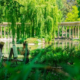 Grüner Pariser Park im Mai