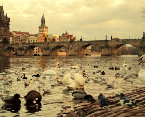 Karlsbrücke in Prag